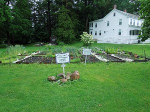 Parsons Garden - part of the Williams Sustainable Garden Project